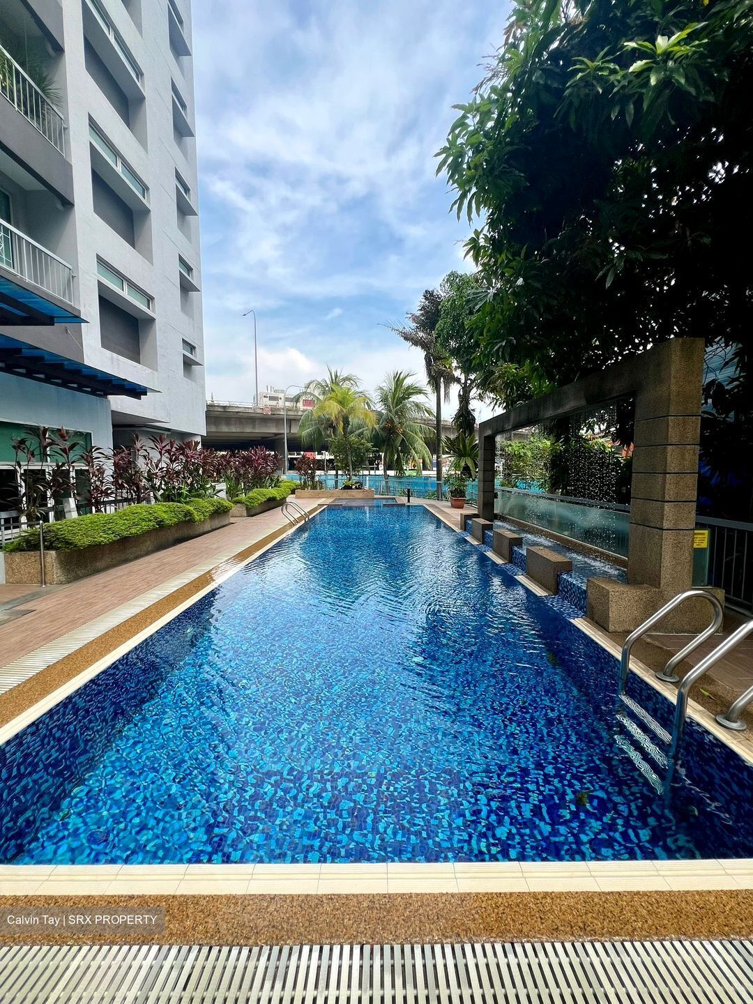 Pasadena (D11), Apartment #434917241